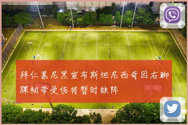 拜仁慕尼黑宣布斯坦尼西奇因右脚踝韧带受伤将暂时缺阵