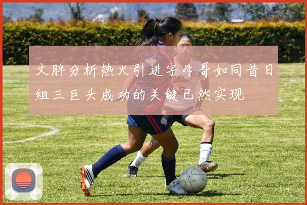 文胖分析热火引进字母哥如同昔日组三巨头成功的关键已然实现