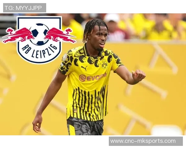 丘库埃梅卡凌空斩破门多特在第64分钟领先汉堡1-0